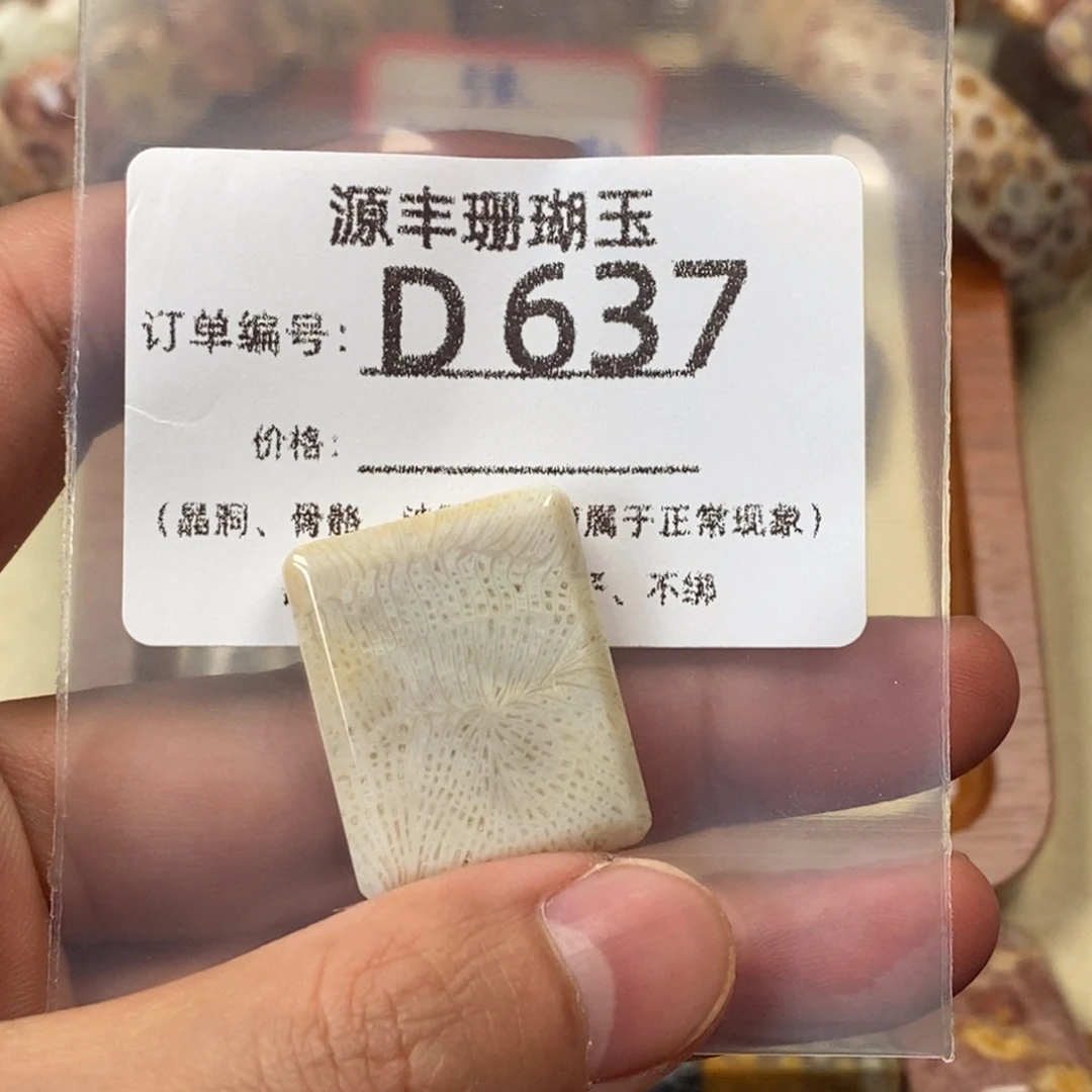 溯***硅化玉未镶嵌颈饰