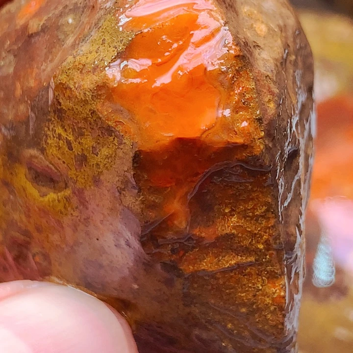 定制玛瑙维*定制牌子