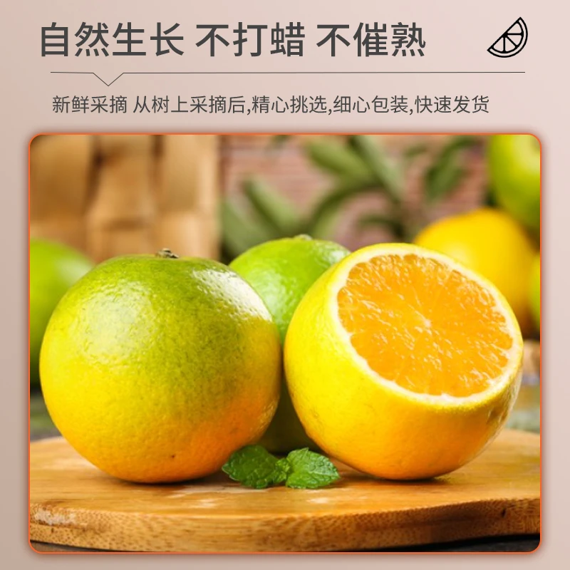 顺丰包邮广西桂林高山夏橙新鲜5斤9斤现摘应季水果香甜皮薄鲜甜
