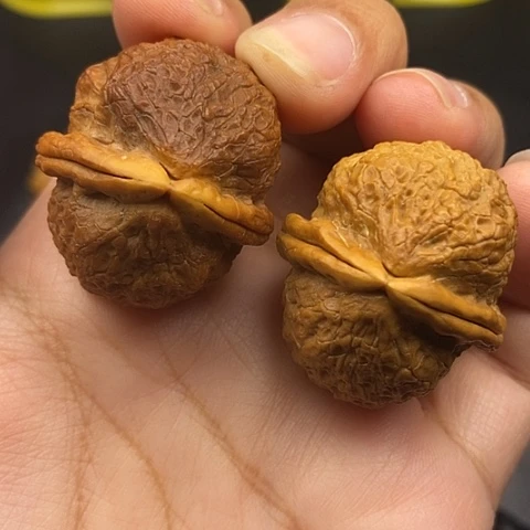 文玩核桃把件35尺云南核桃