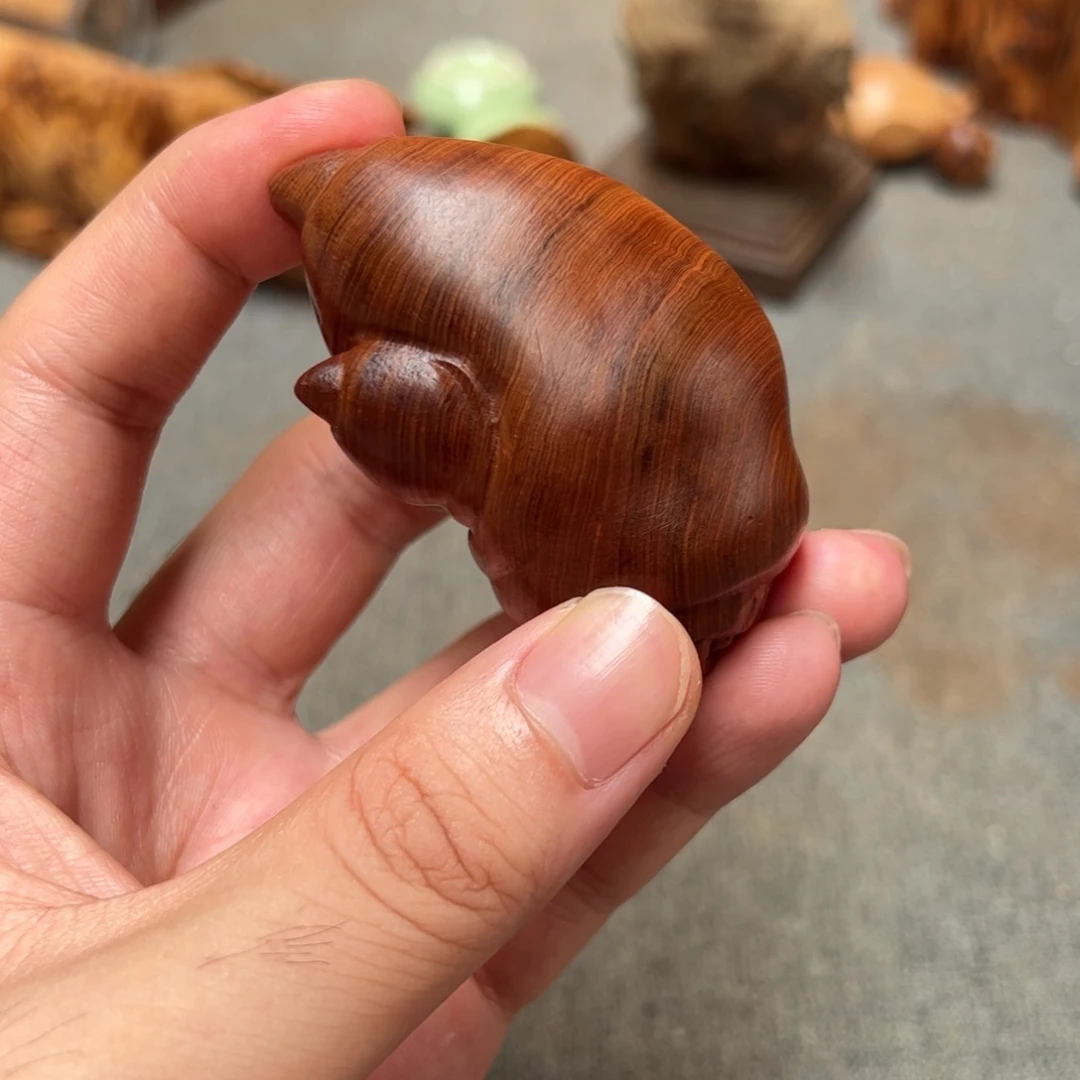 柏木（崖柏）北太行陈化崖柏