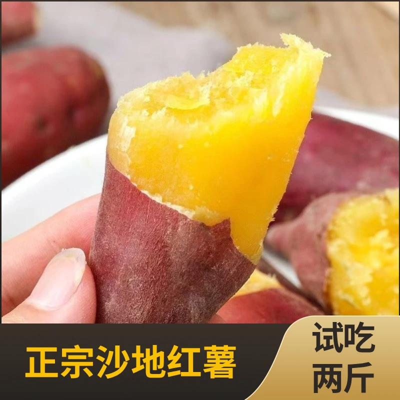 新鲜蜜薯板栗红薯沙地农家自种番薯现挖
