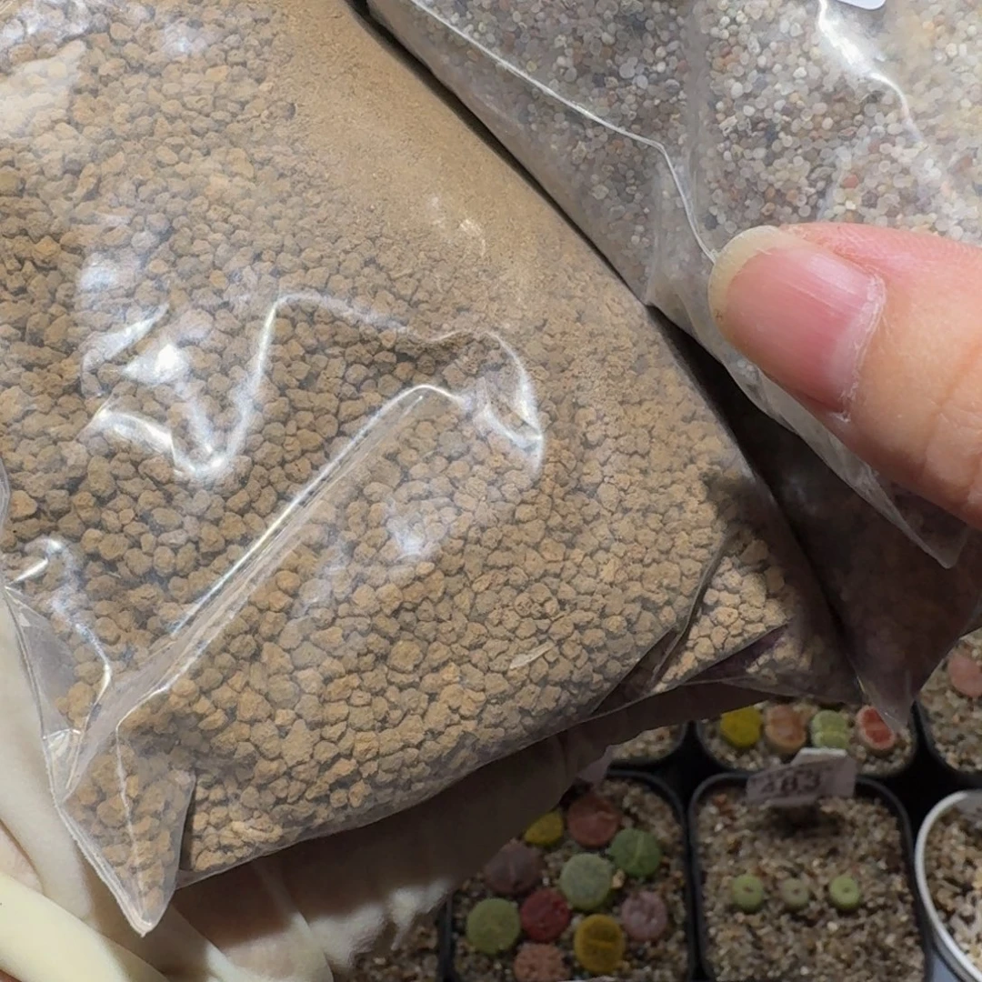 w***雯Ssss精品生石花575三包