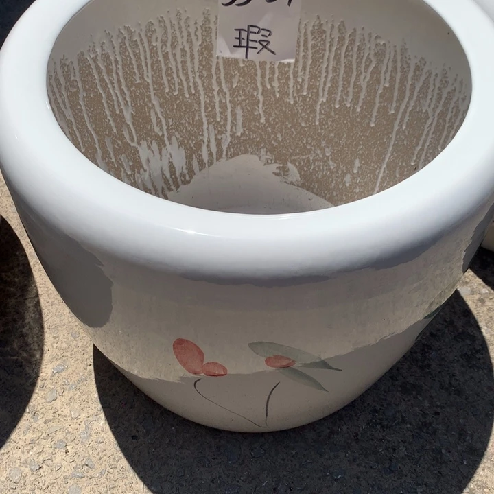花盆里的小猫咪们都好可爱啊哈哈