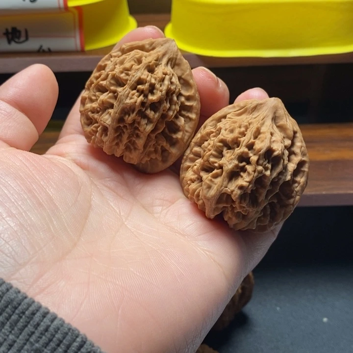 全品无修九龙筋秦岭42