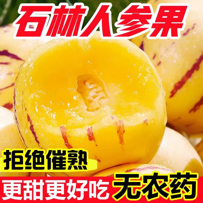 【树上熟圆果】云南石林人参果黄心黄果大果纯甜低糖水果