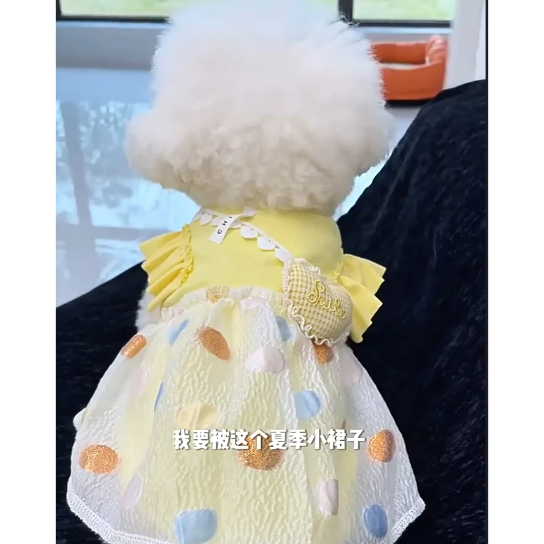 宠物衣服夏天元气活力黄色芝士波点裙狗狗衣服猫咪背心小型犬比熊