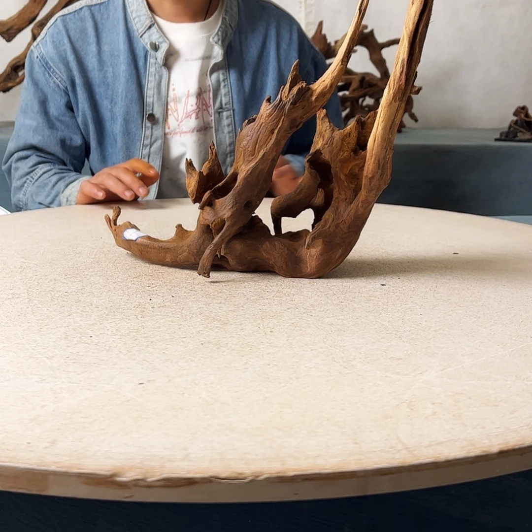 沉木造景爬宠造景