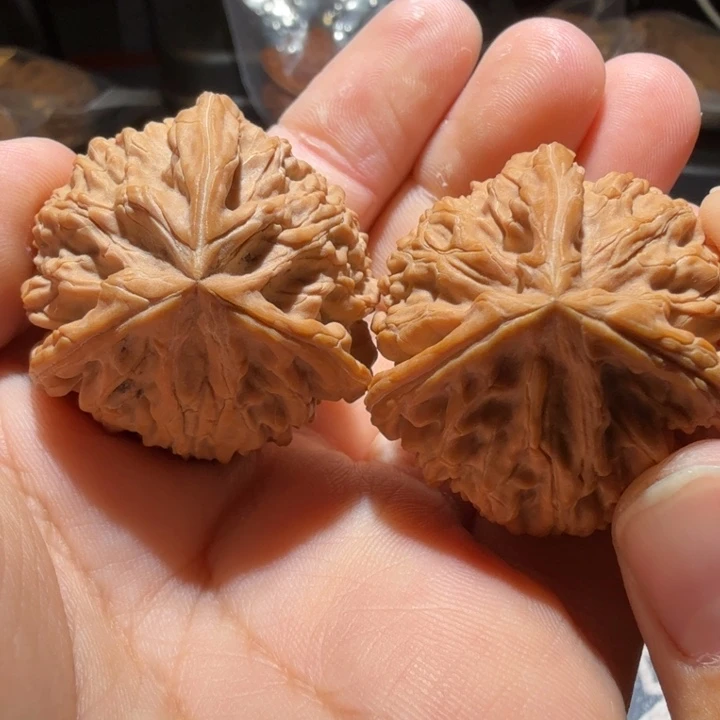 把件猴头核桃御龙正奔