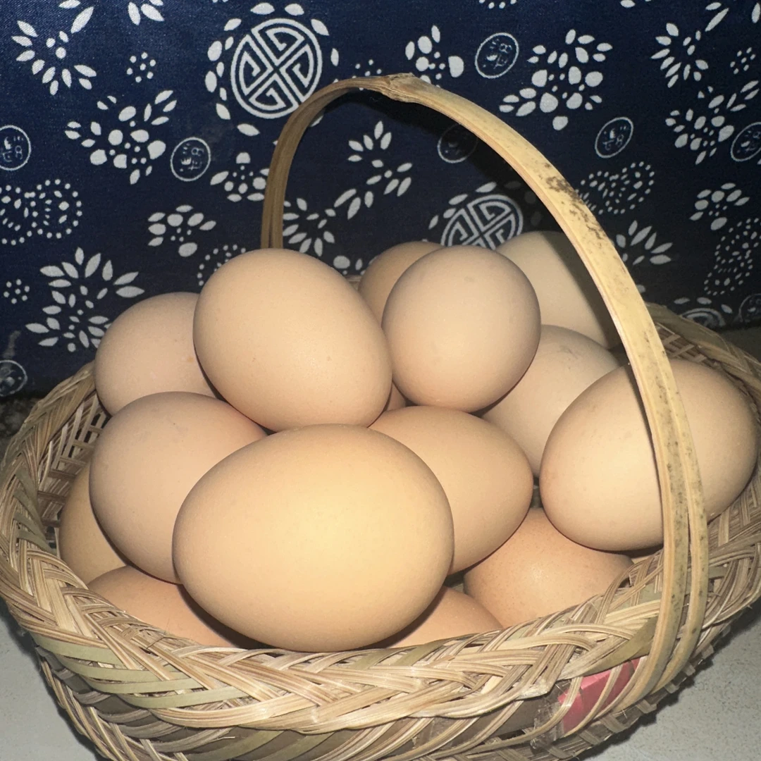 高山散养土鸡蛋新鲜绿壳混合鸡蛋