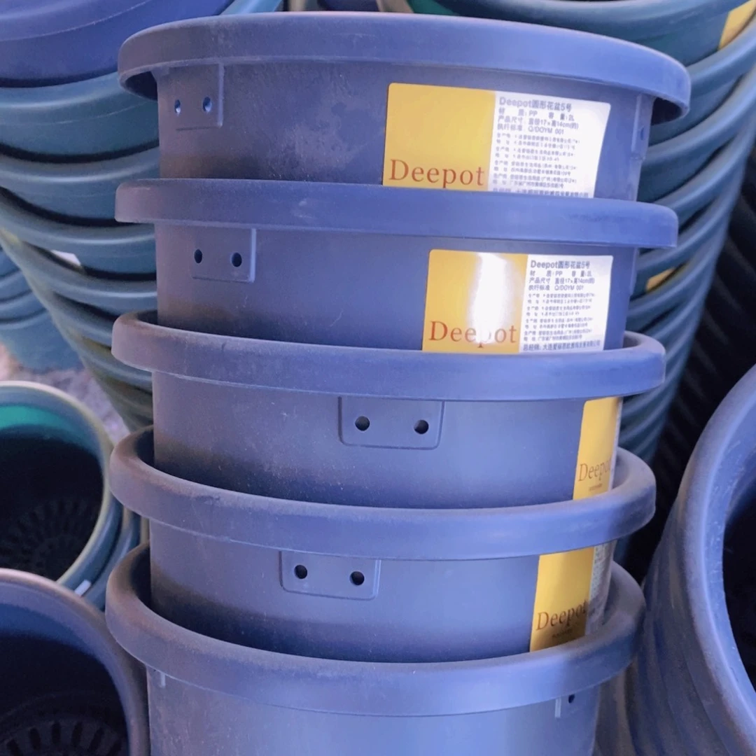 树脂5个5号蓝色爱丽丝无托