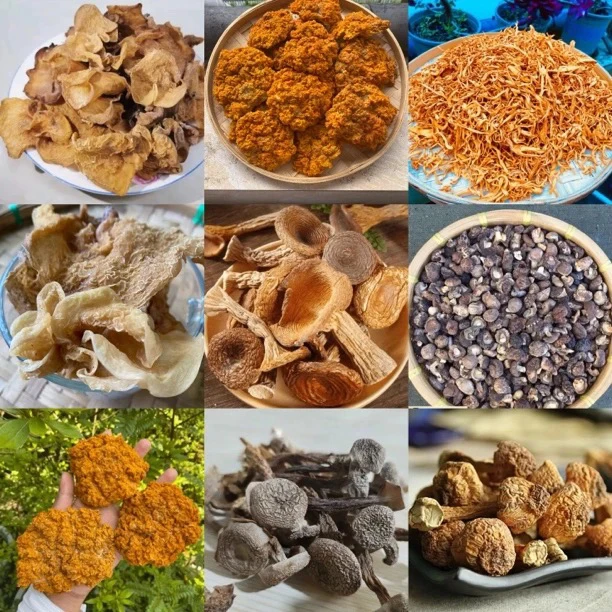 【土特产阿龙专属186】重量24g