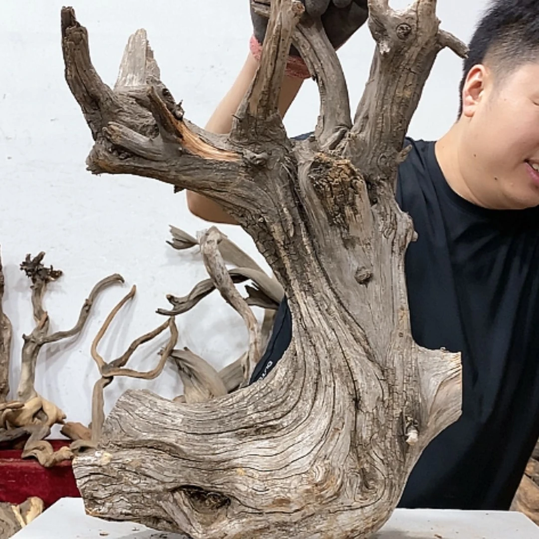 【闪购商品】柏木山****司我们的目标就是成为更优秀