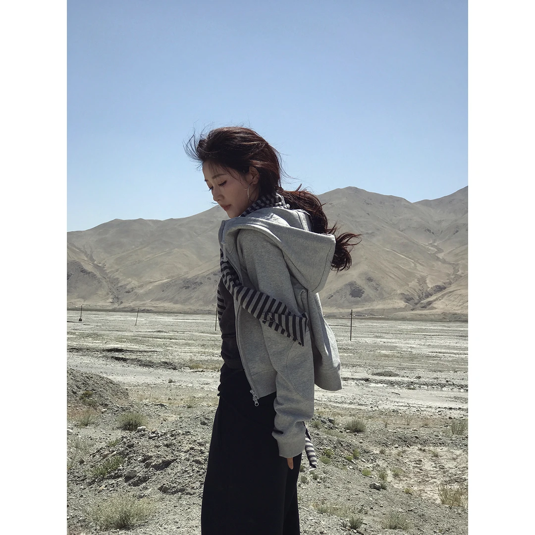 小番茄定制 FORNI 通勤搭子 重磅埃及棉高克重磨毛拉链卫衣