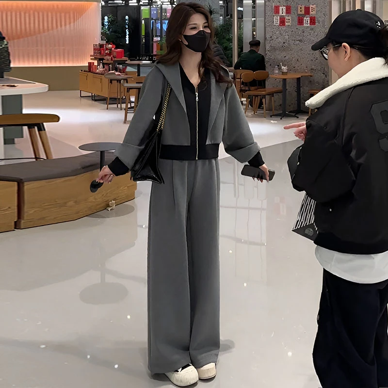 时尚休闲套装女春秋洋气减龄显瘦假初秋穿搭文艺百褶阔腿裤两件套