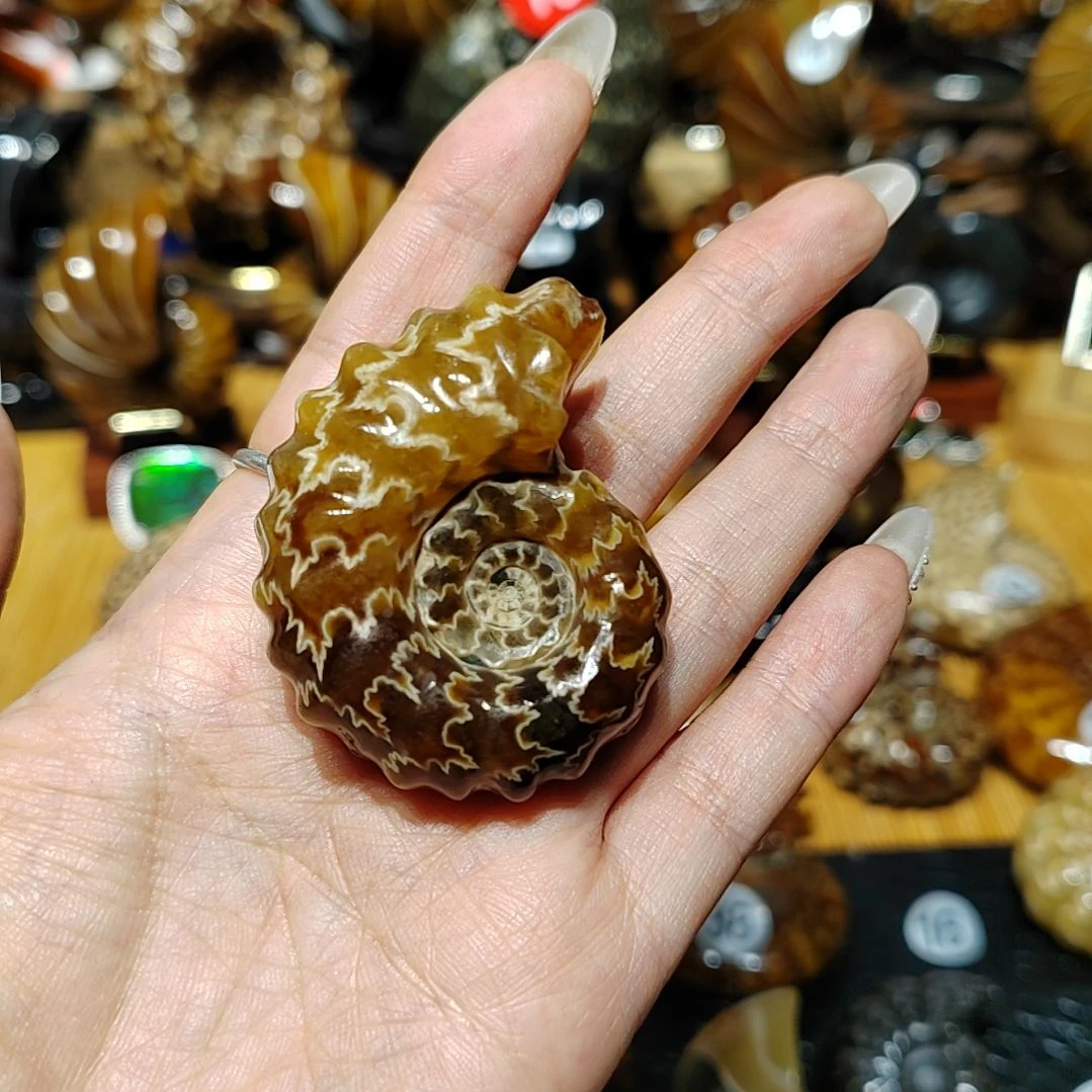朱*玉海螺化石手把件吊坠