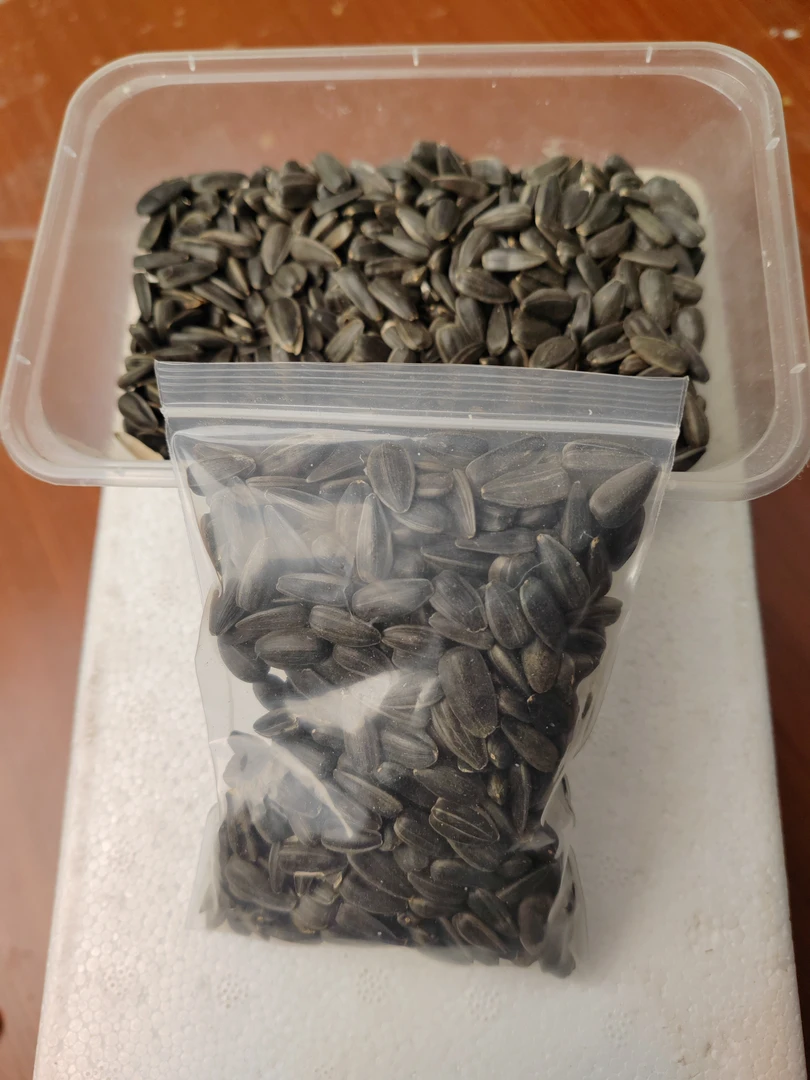 黑珍珠小瓜子油葵鹦鹉鸟食
