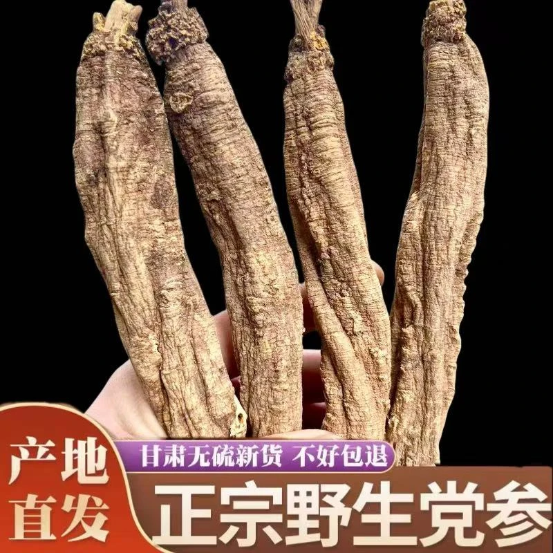 野生党参干货特级甘肃中药材当参组合黄芪当归煲汤西藏甘肃特产