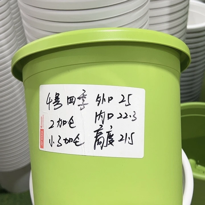 特价4号口25高21.5果绿10只无托