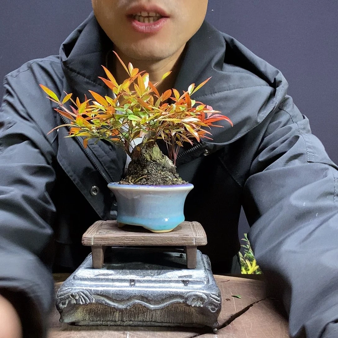 竞拍商品一物一拍
