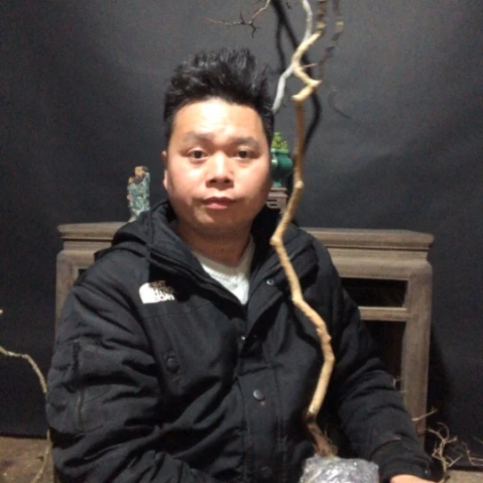 盆景素材盆栽绿植