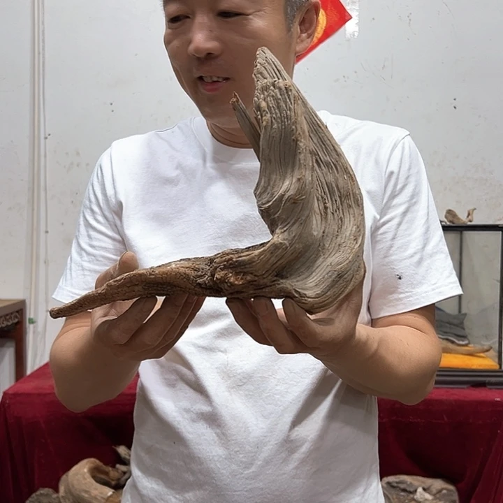 柏木方*我们都是好孩子呀我也