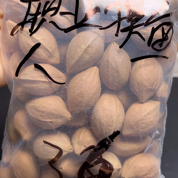 职***人手串/手链橄榄核111