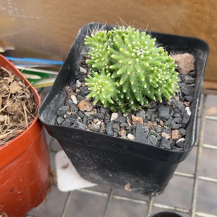 喝***眠我也不知道我为什么要这样