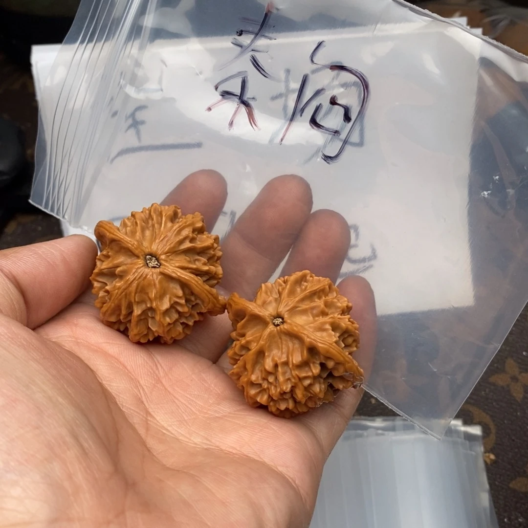 H*W528638638683683386