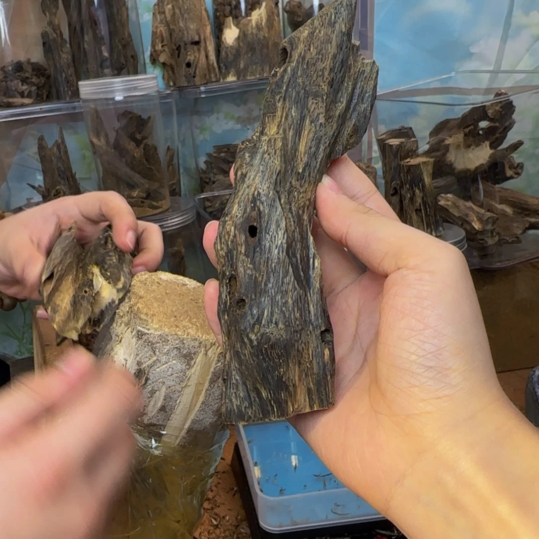 沉香碎屑沉香62克香脉40纽结