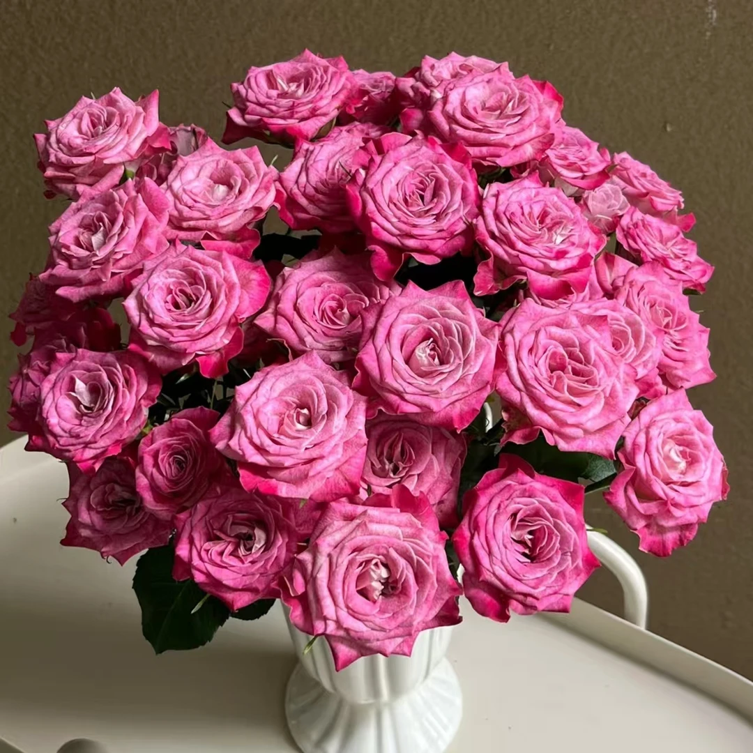 【花花公子】多头玫瑰  | 全场鲜花任意满2单及以上包邮