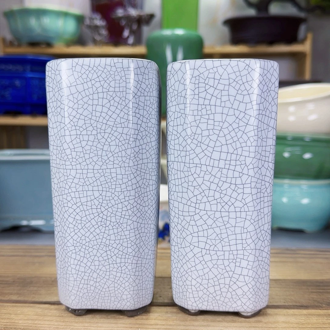 陶瓷花盆特价上新