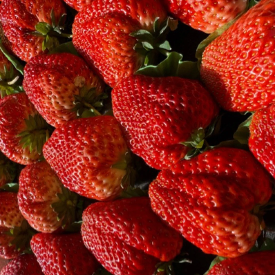 99丹东大草莓一大板 5斤