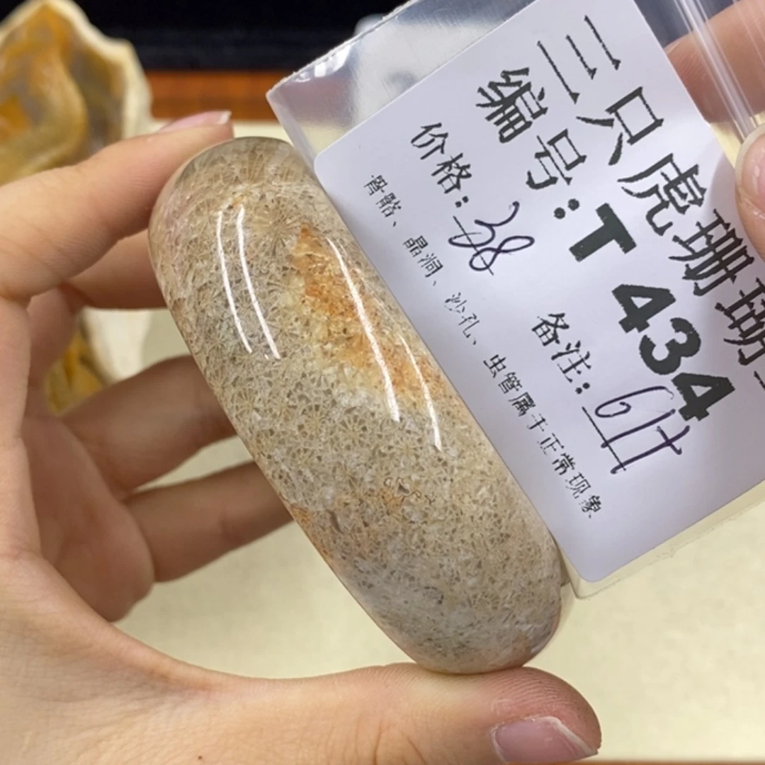 硅化珊瑚（珊瑚玉）1未镶嵌j****在