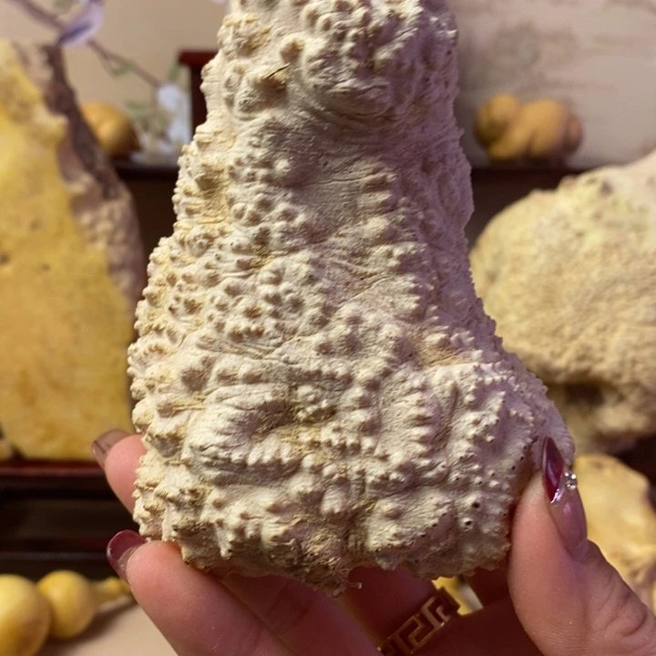 香榧木顾黄杨木手把件