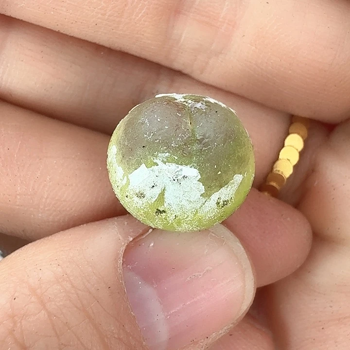 老马生石花拉登842