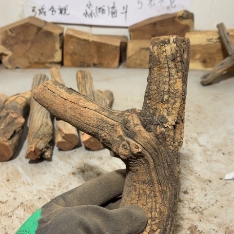 大果紫檀（缅甸花梨）尛*斗