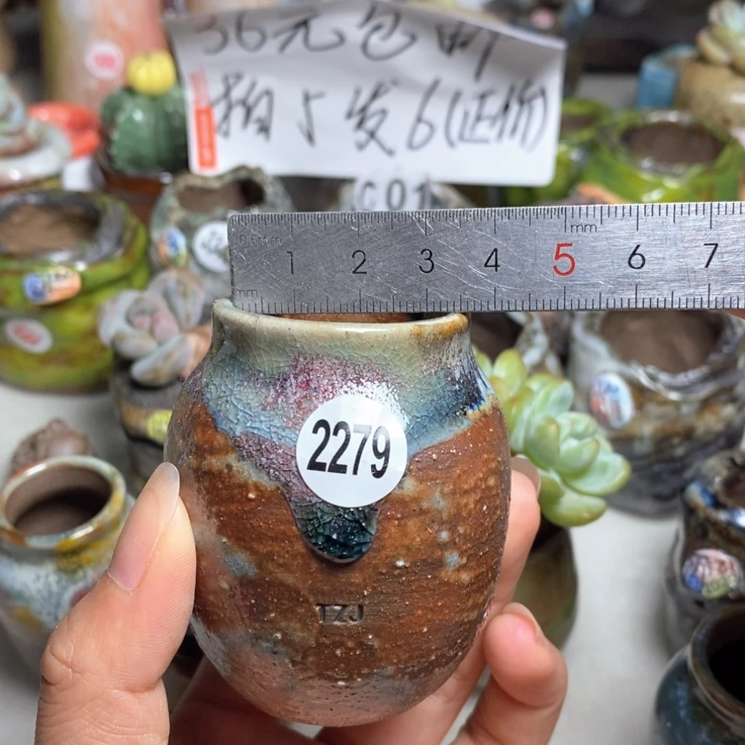 拍5送一个小礼物