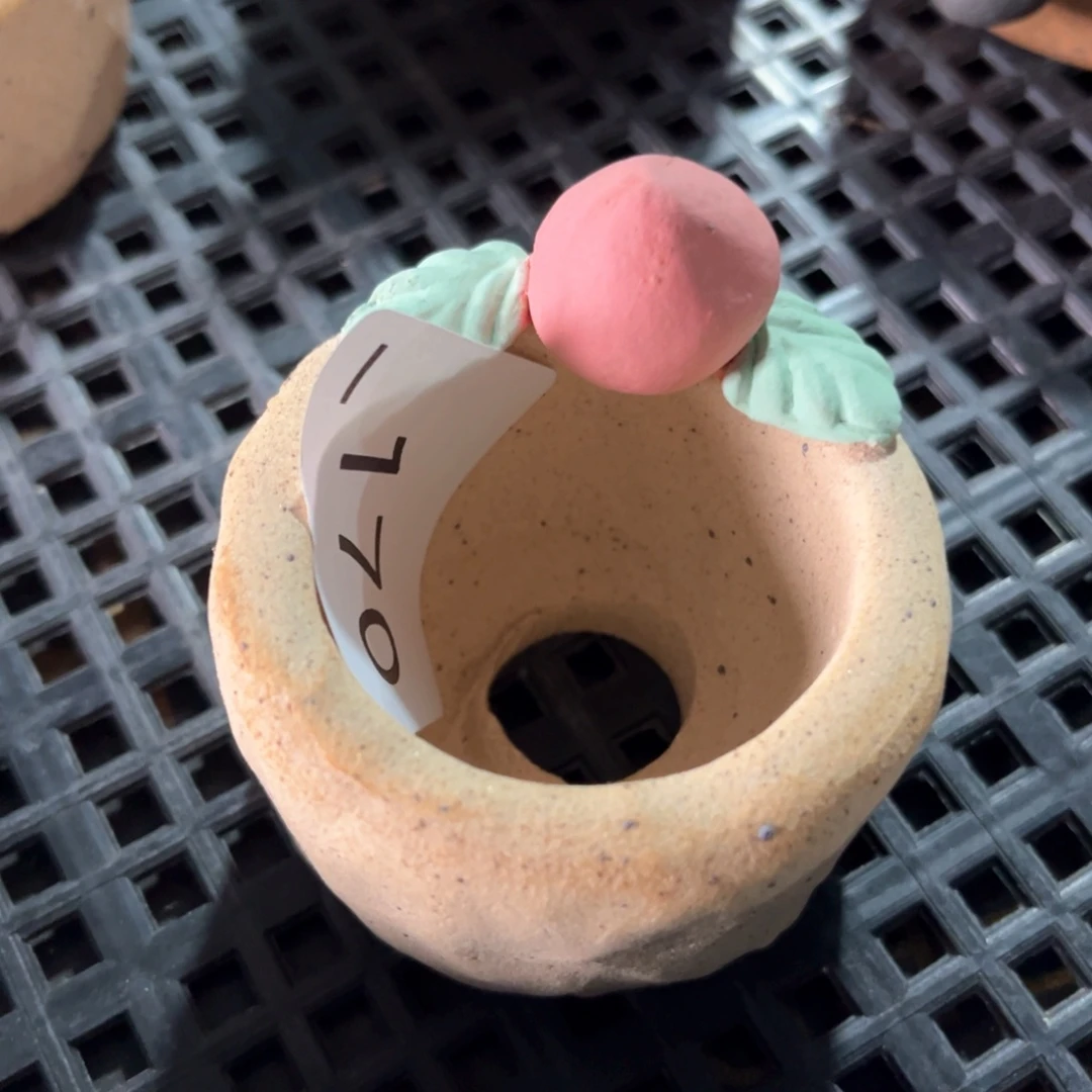 红陶170花盆  1个