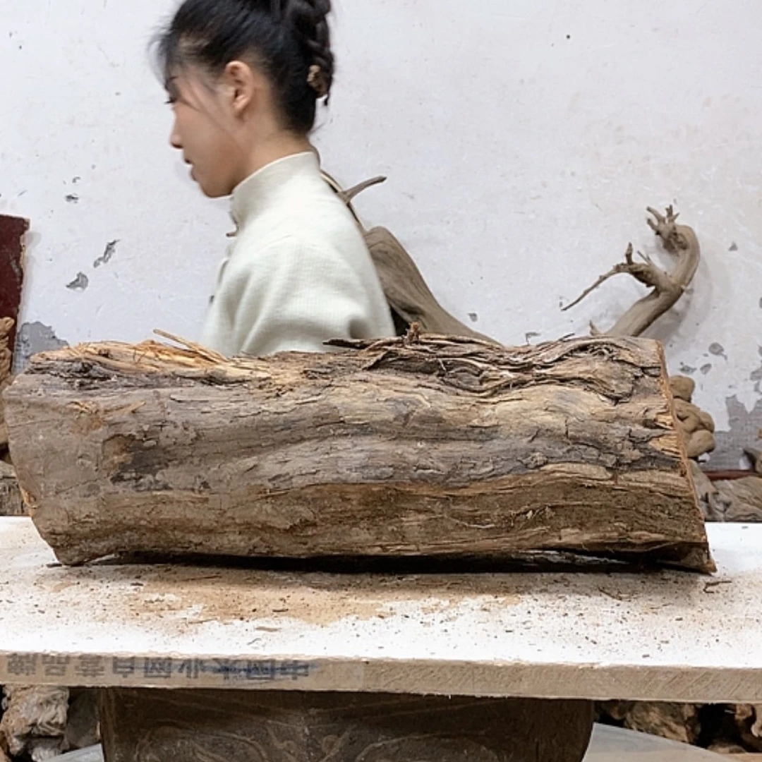 【闪购商品】柏木悟*我们都是好孩子