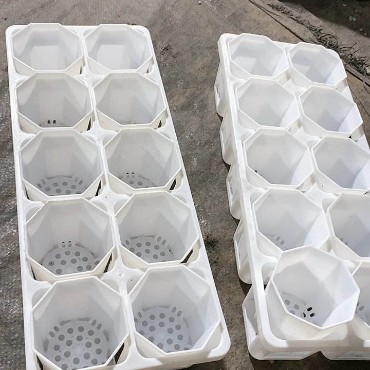 7公分八角盆20个含托架