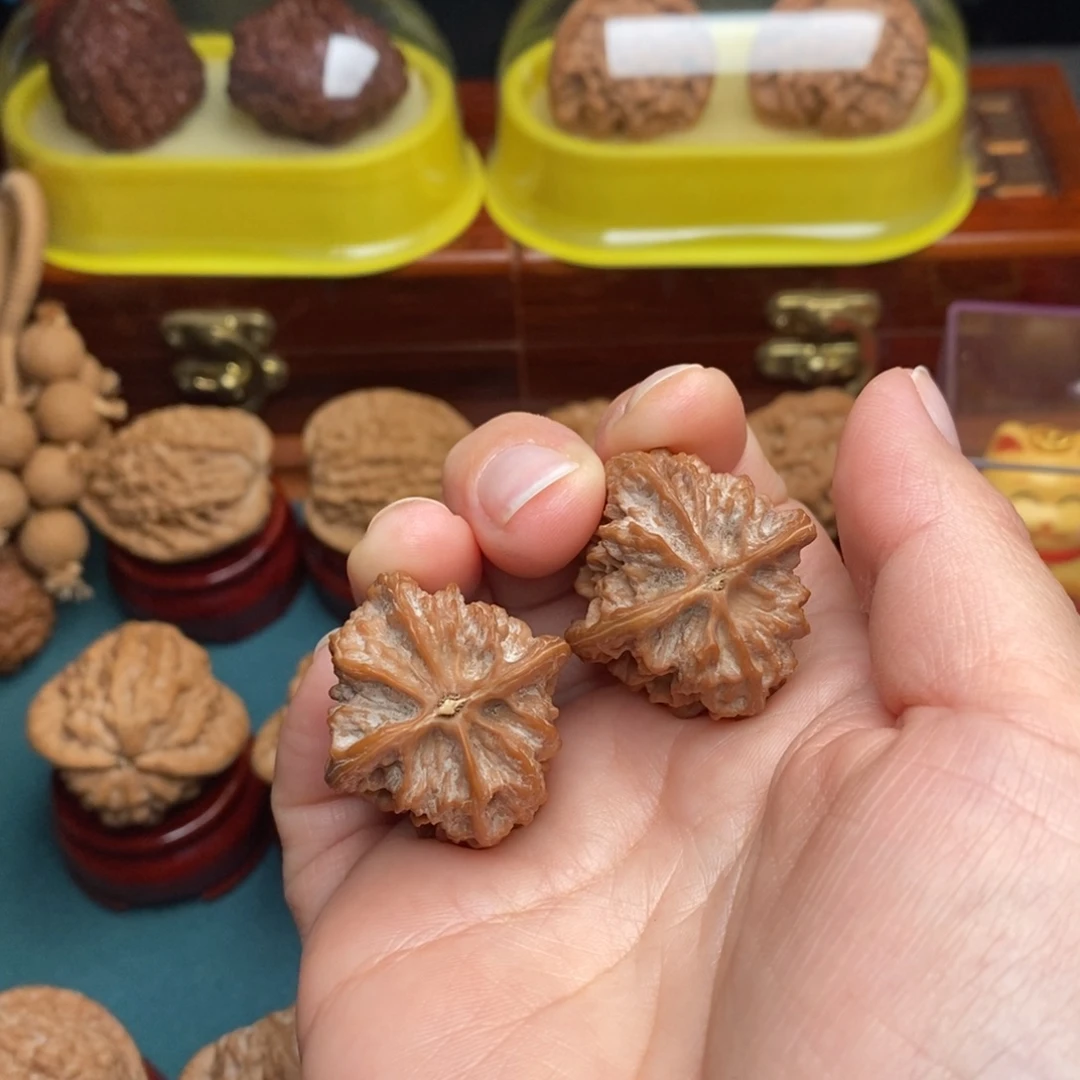 地***精吊坠文玩核桃30龙骨全