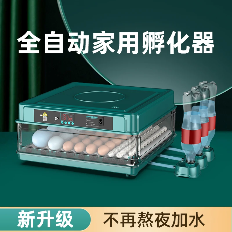 博实全自动孵化器鸡鸭鹅鸽孵蛋器孵化机双电源智能孵化箱孵化设备