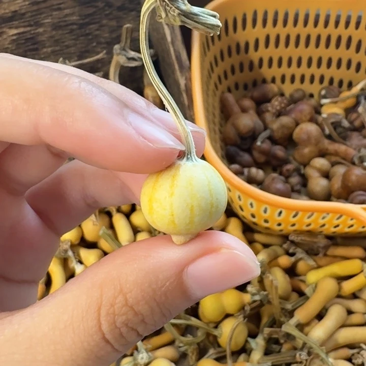 葫芦葫芦葫芦葫芦