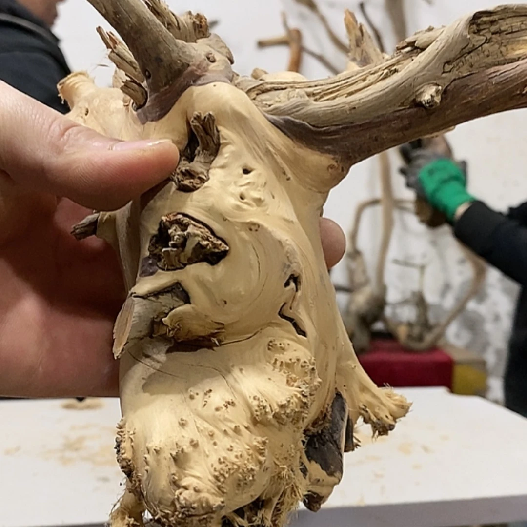 【闪购商品】柏木上****啦我们都是好孩子