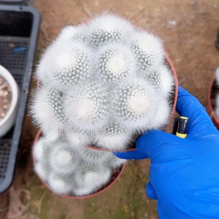 不****～哈哈哈哈哈哈哈哈