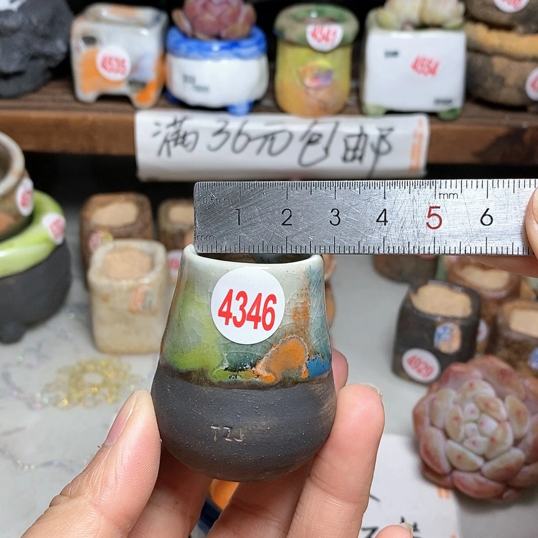 红陶小*拍5送一个小