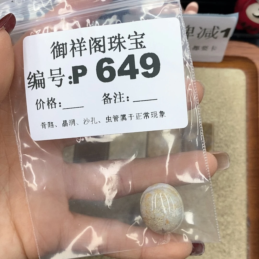 硅化珊瑚（珊瑚玉）P未镶嵌木*
