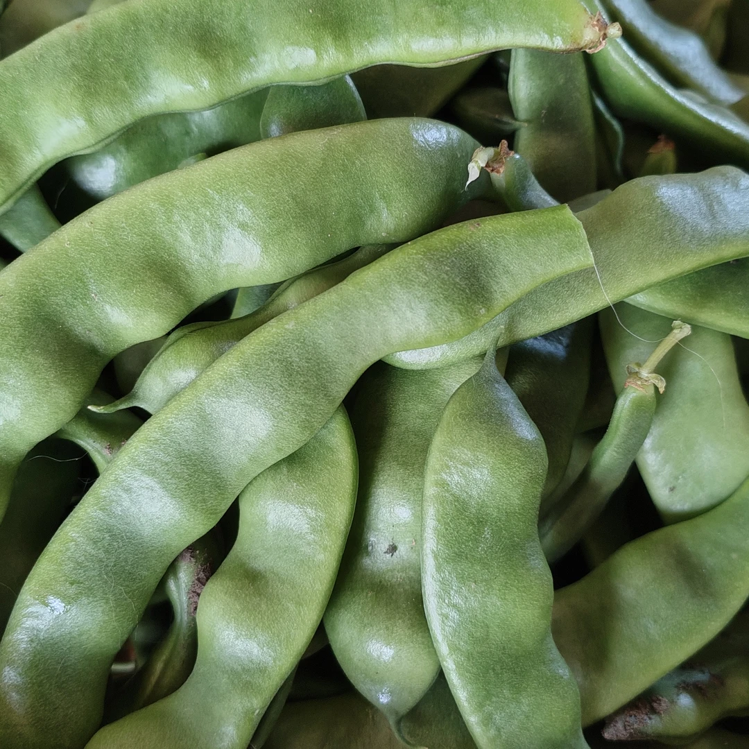 东北农家，菜园紫花油豆角，现摘现发，2.5kg/1箱