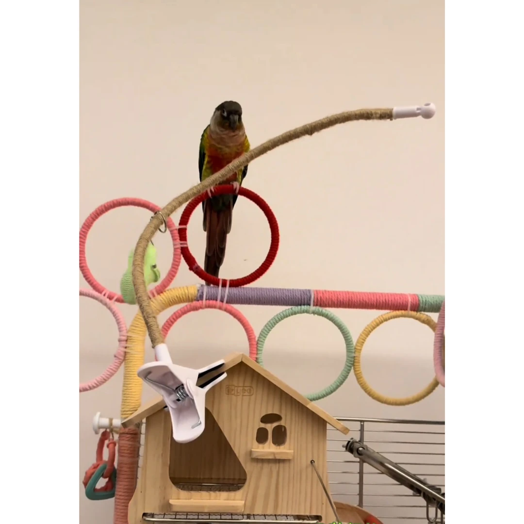 鹦鹉垃圾桶拉便便支架站杆定点排便站架耐咬磨嘴磨爪站棒鸟用玩具